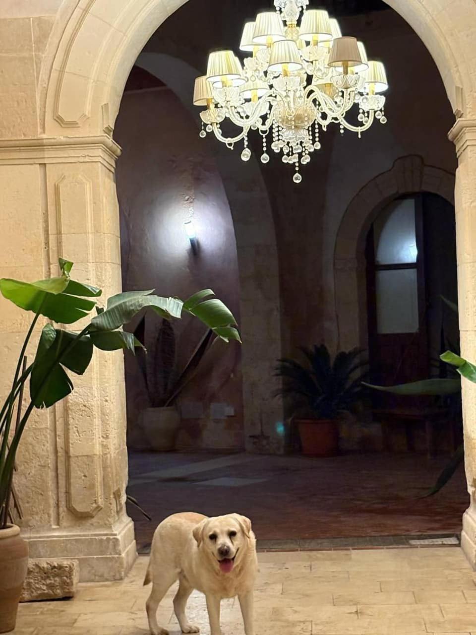 Palazzo Gancia Holiday Homes Συρακούσες Εξωτερικό φωτογραφία
